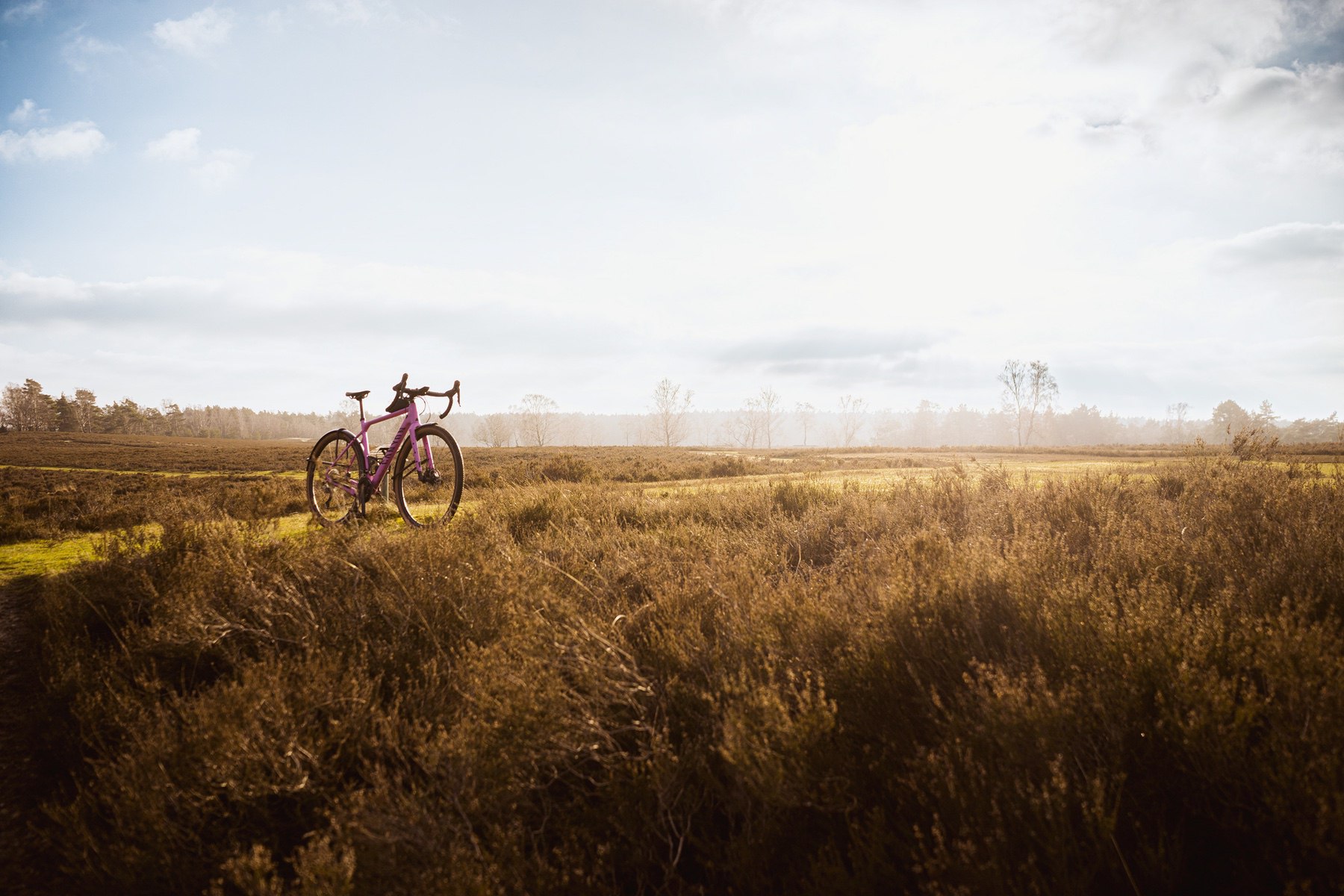 My Canyon Grizl in the Lüneburger Heide