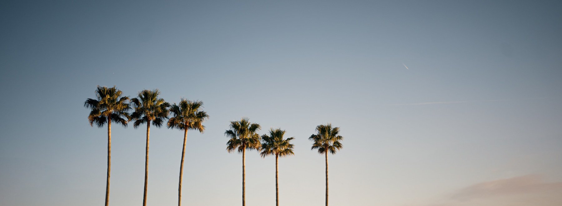 Palm-lined streets of Mallorca